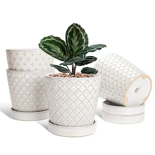 Set of 4 Ceramic Plant Pots with Drainage Holes and Trays, 5-Inch Indoor Flower Planters, Embossed White Design for Succulents, Herbs, and Cacti, Decorative Gift for Home, Office, or Windowsill