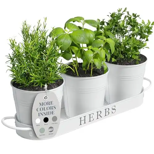 Barnyard Designs Indoor Herb Garden Planter Set with Tray, Metal Windowsill Plant Pots with Drainage for Outdoor or Indoor Plants, Set/3 (White)